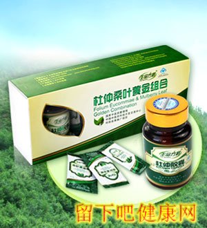 杜仲桑叶黄金组合