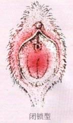 145×245