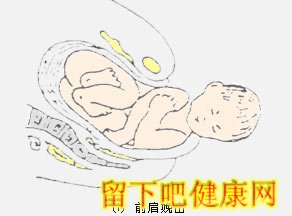 胎儿如何经过产道？
