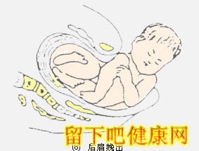 胎儿如何经过产道？