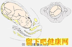 胎儿如何经过产道？