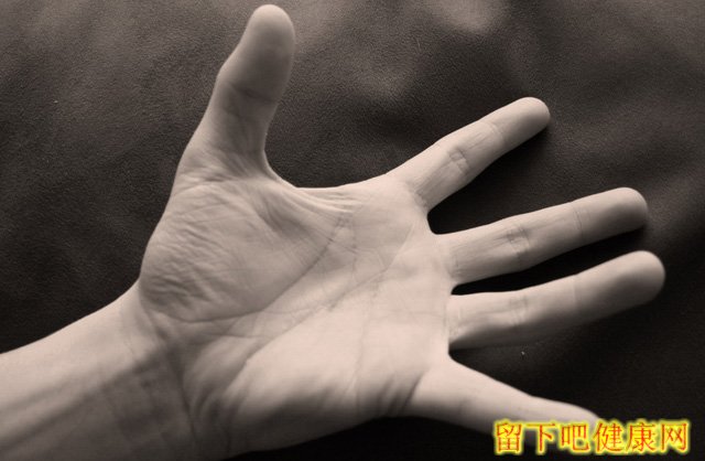 男人秋季养肺必吃的7种食物