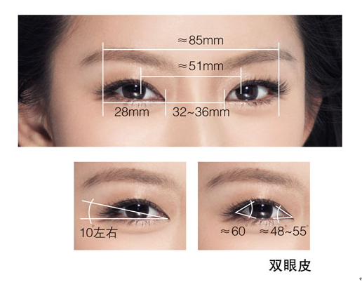 综合美眼
